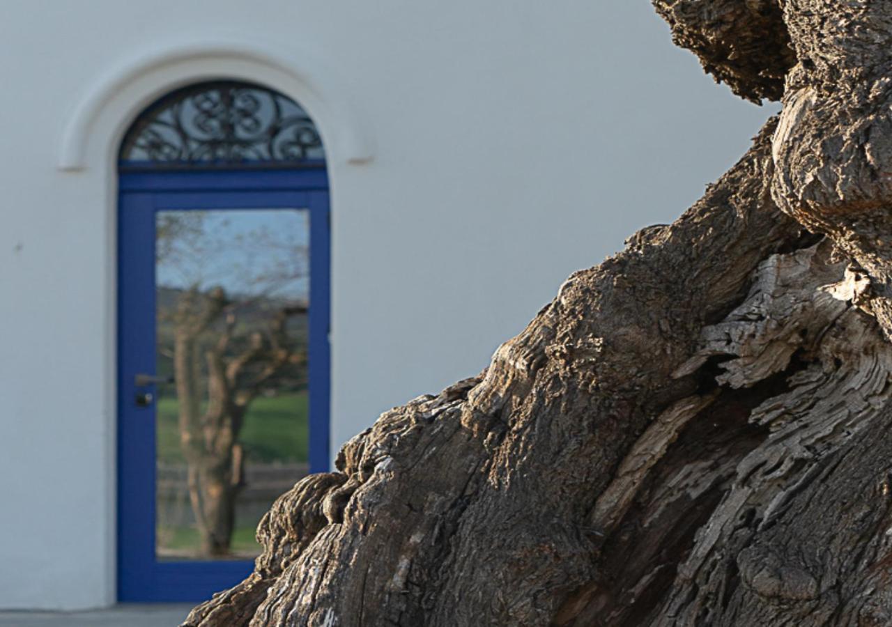 Albergo Rurale Casa Fois Valledoria  Luaran gambar